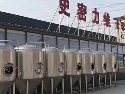 荔波精酿啤酒设备厂—市场规模与跨界新需求